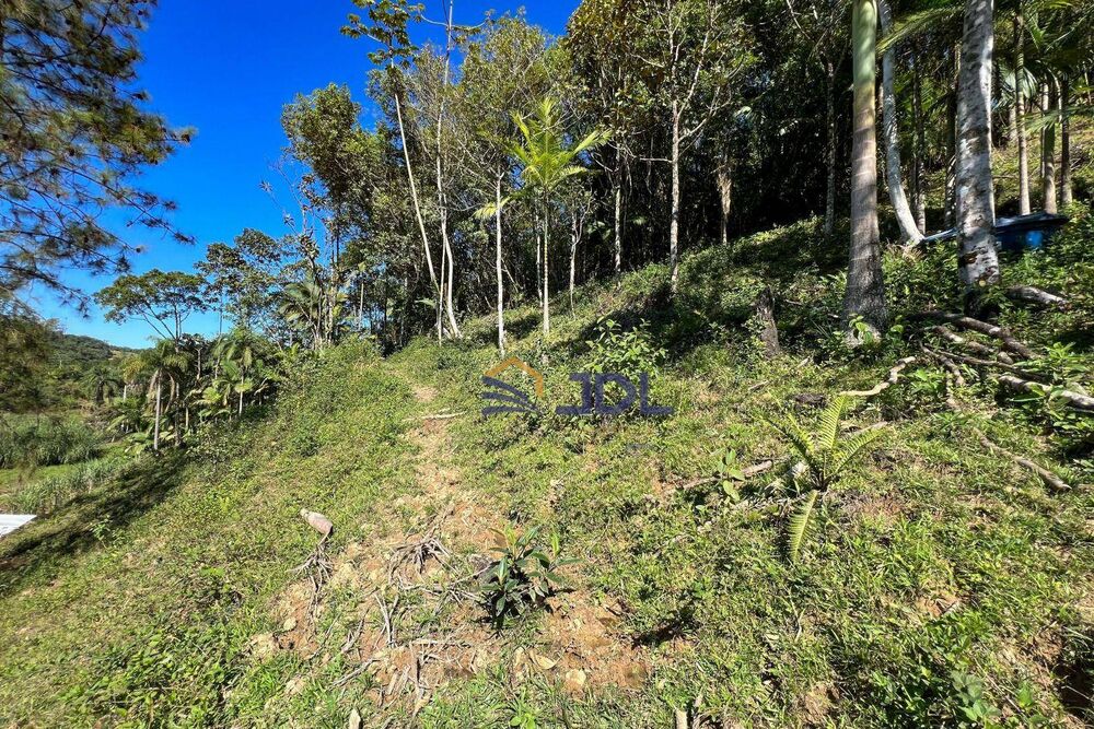 Terreno, 2 hectares - Foto 3