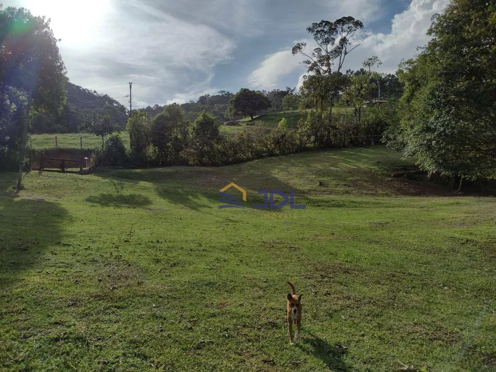 Sítio, 5 hectares - Foto 7