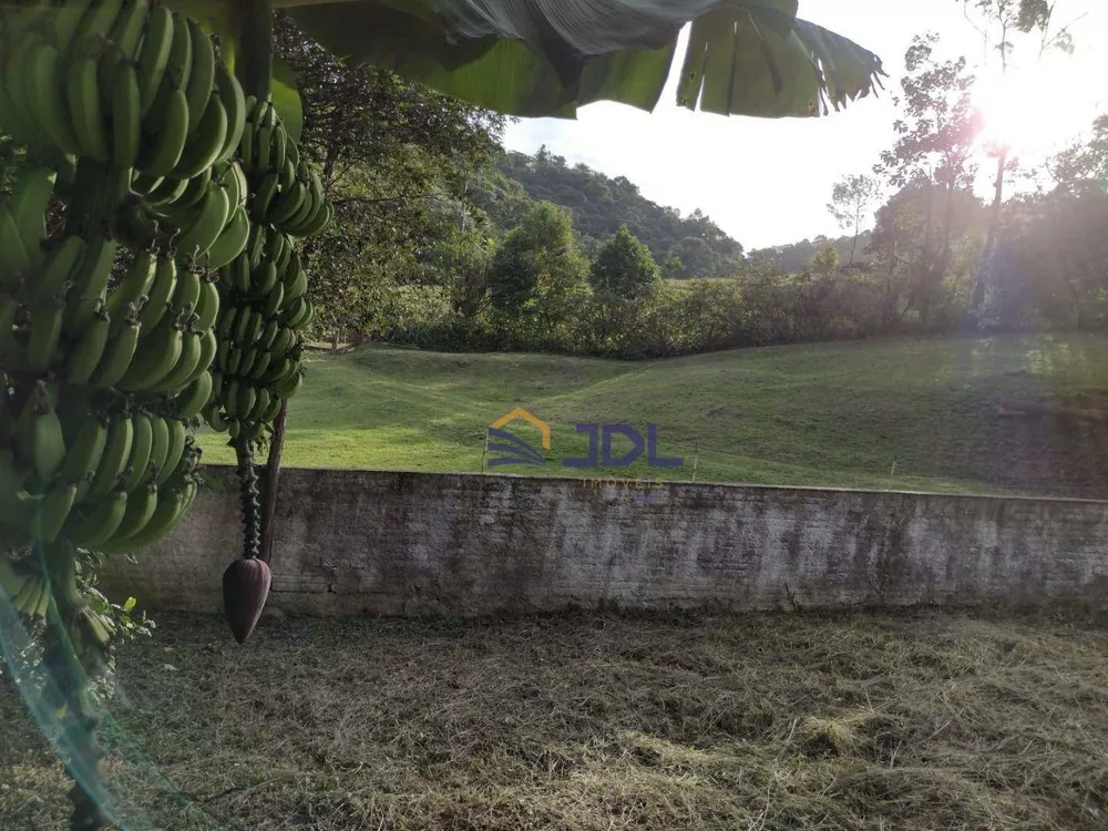 Sítio, 5 hectares - Foto 12