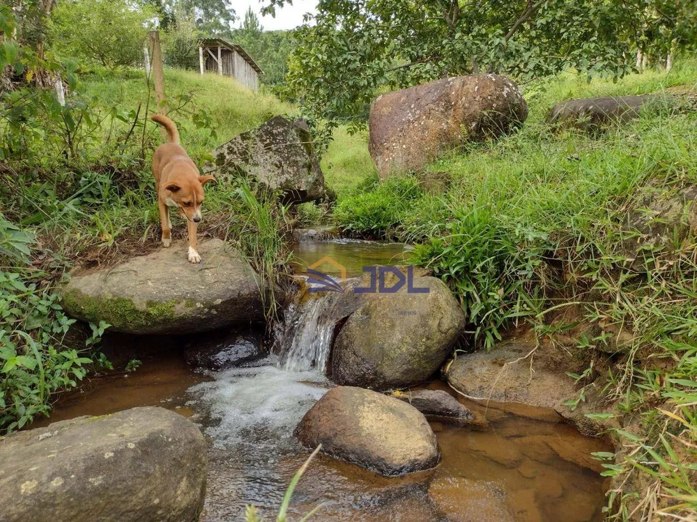 Sítio, 5 hectares - Foto 2