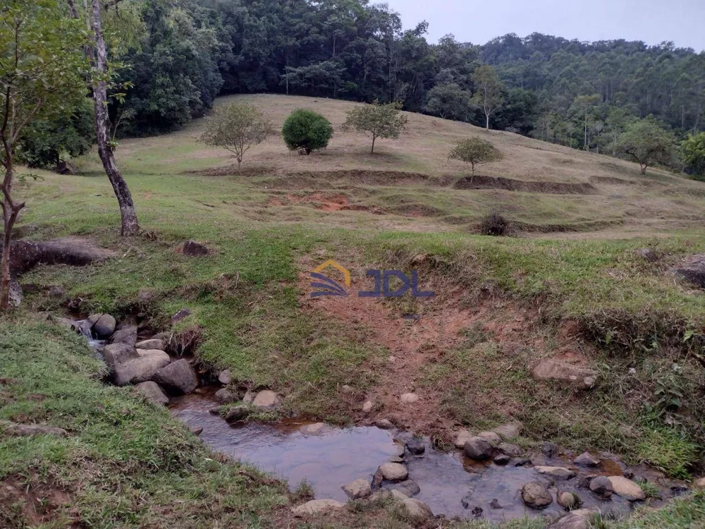 Sítio, 5 hectares - Foto 10