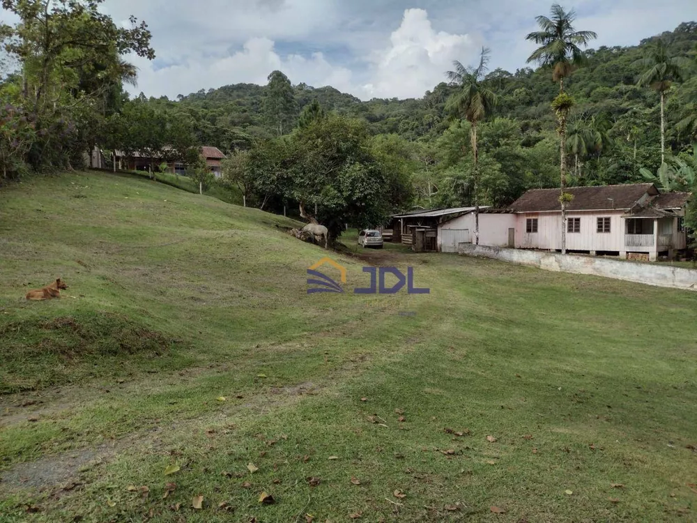 Sítio, 5 hectares - Foto 4