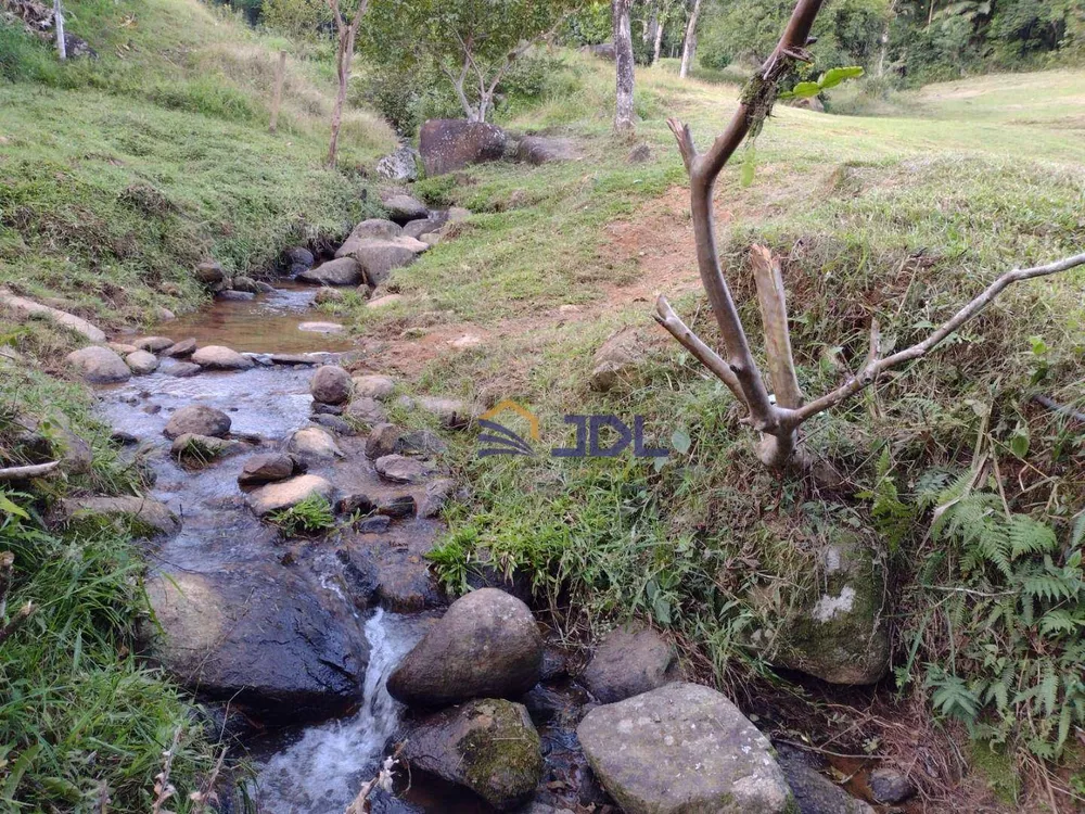 Sítio, 5 hectares - Foto 9