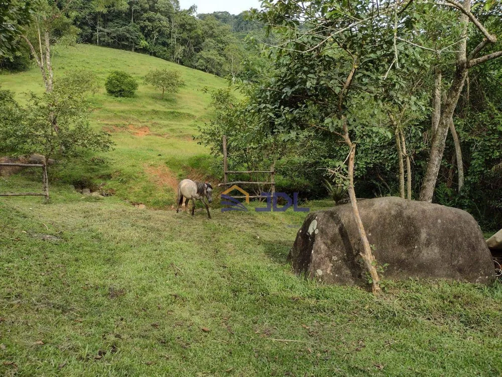 Sítio, 5 hectares - Foto 6