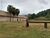 Terreno, 1 hectares - Foto 1