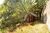 Terreno, 400 m² - Foto 2