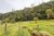 Terreno, 93 hectares - Foto 2