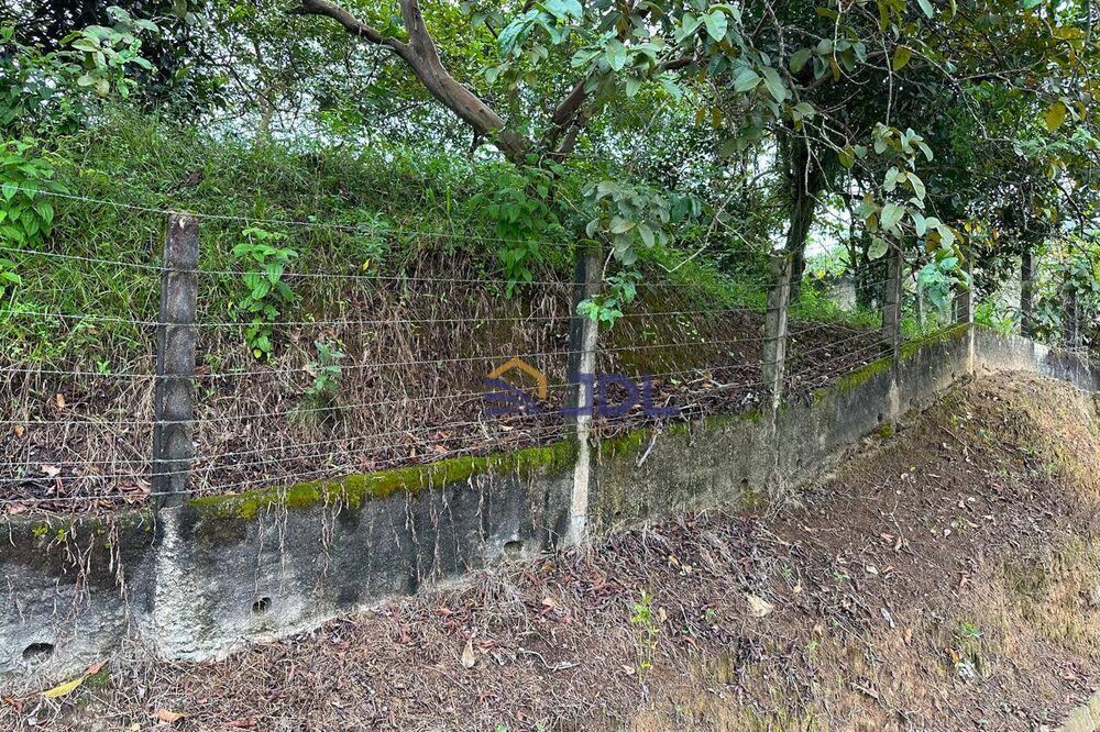 Terreno, 2518 m² - Foto 4