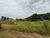 Terreno, 2 hectares - Foto 2