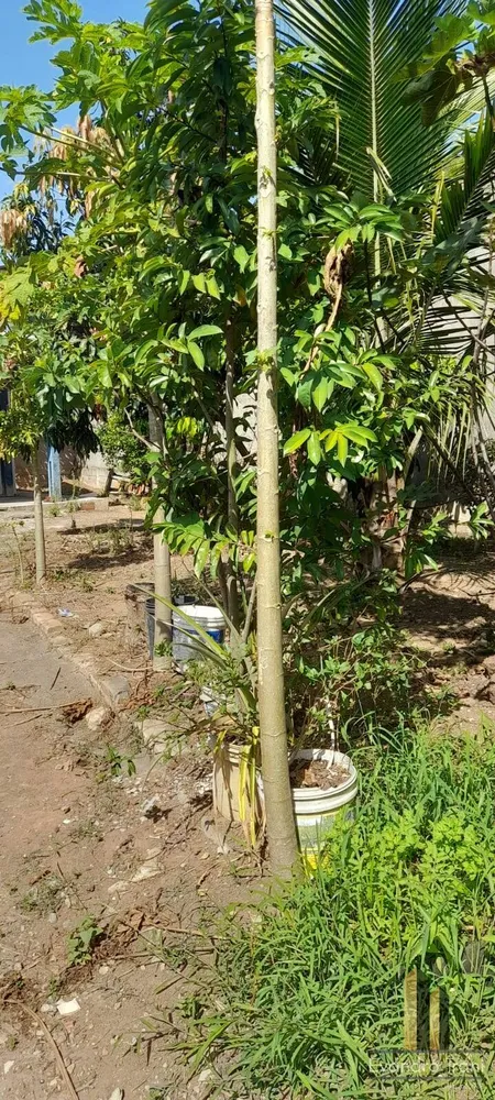 Casa, 2 quartos, 630 m² - Foto 14