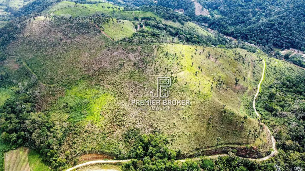 Fazenda, 230 hectares - Foto 6