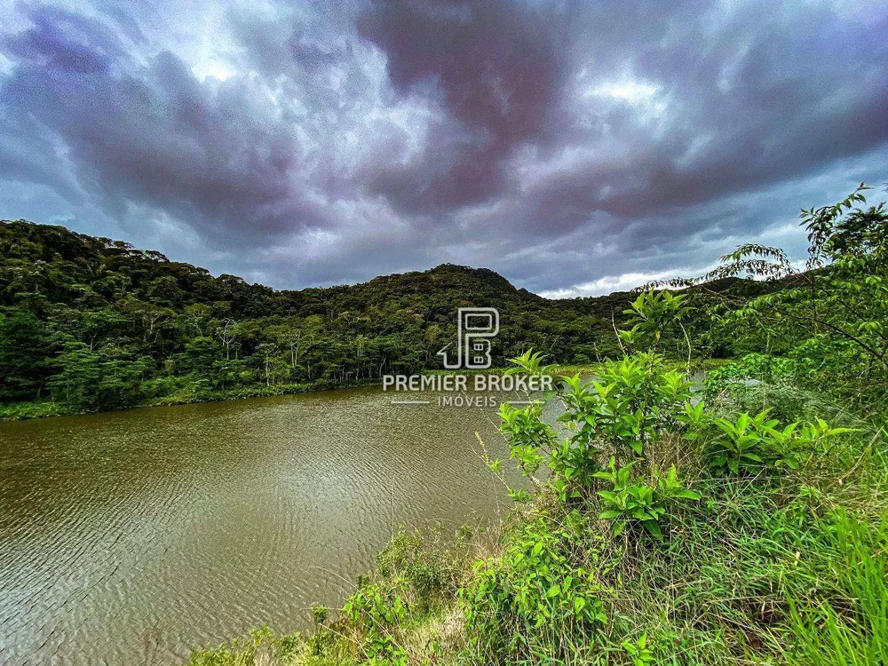 Fazenda, 230 hectares - Foto 17