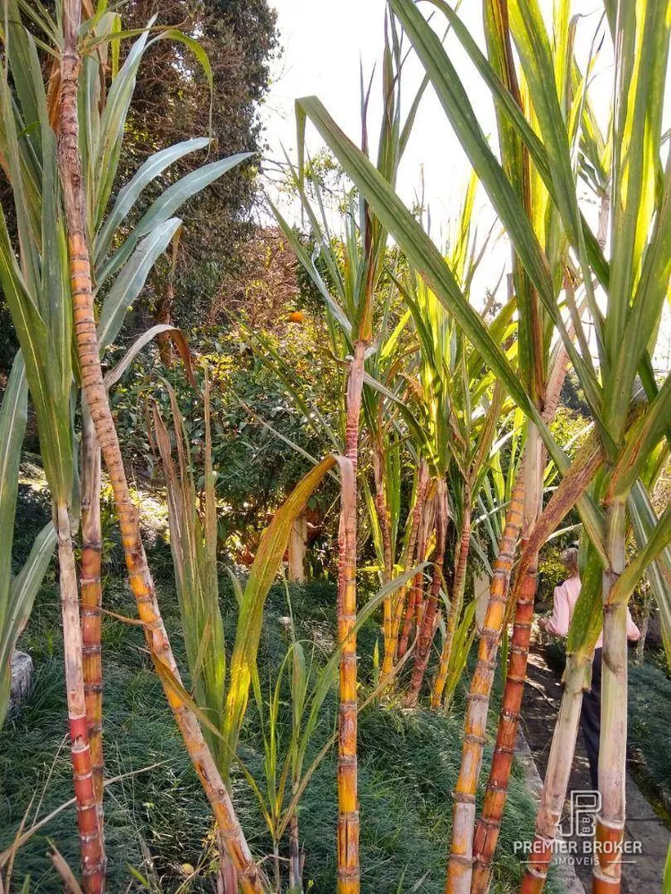 Casa, 3 quartos, 200 m² - Foto 9