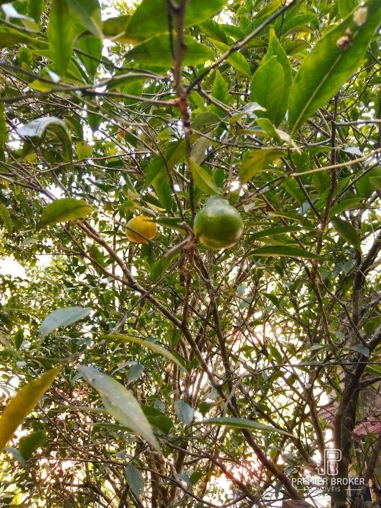 Casa, 3 quartos, 200 m² - Foto 8