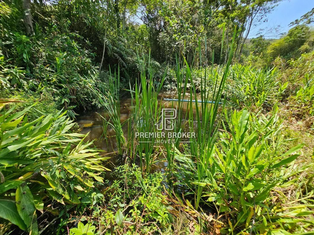 Sítio, 2 quartos, 30 hectares - Foto 10