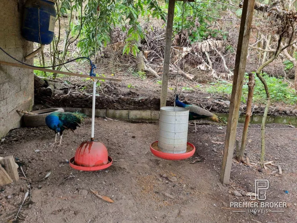 Sítio, 3 quartos, 1 hectares - Foto 52