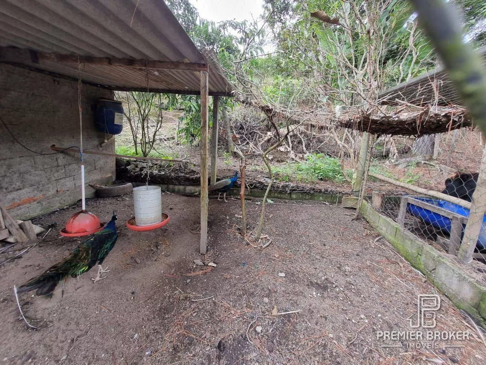 Sítio, 3 quartos, 1 hectares - Foto 49