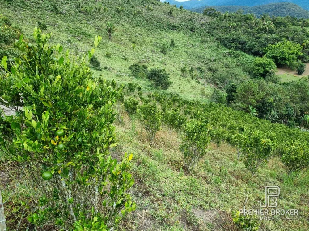 Sítio, 3 quartos, 1 hectares - Foto 54