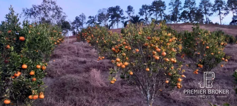 Sítio, 3 quartos, 1 hectares - Foto 67