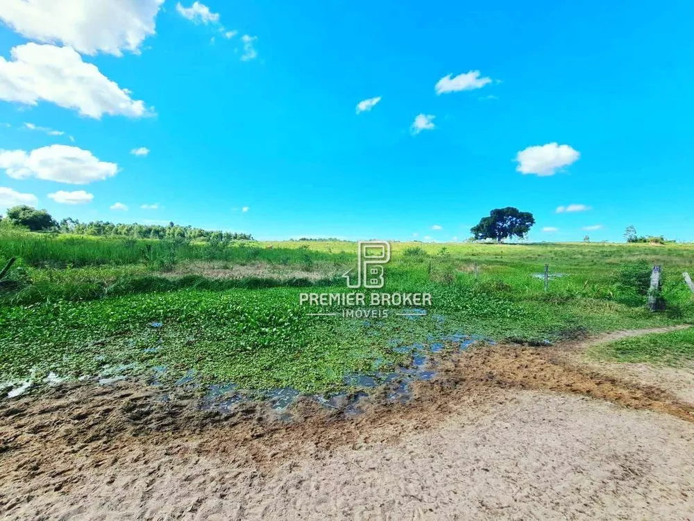 Fazenda, 254 hectares - Foto 8