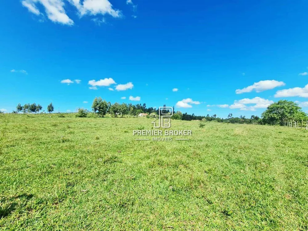 Fazenda, 254 hectares - Foto 19