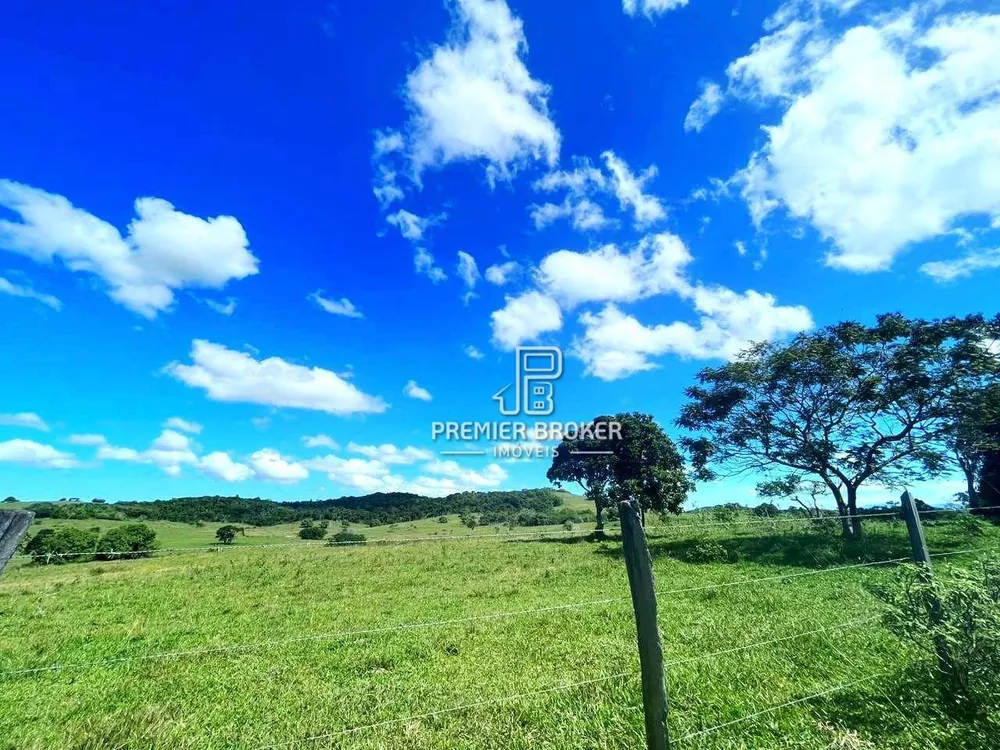 Fazenda, 254 hectares - Foto 1
