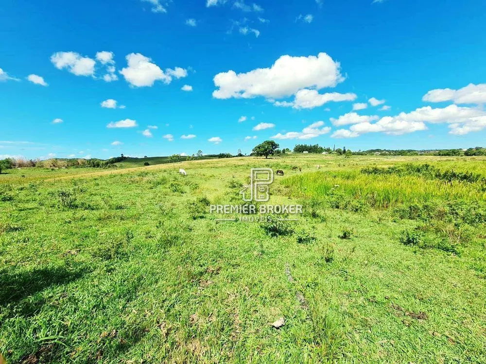 Fazenda, 254 hectares - Foto 3