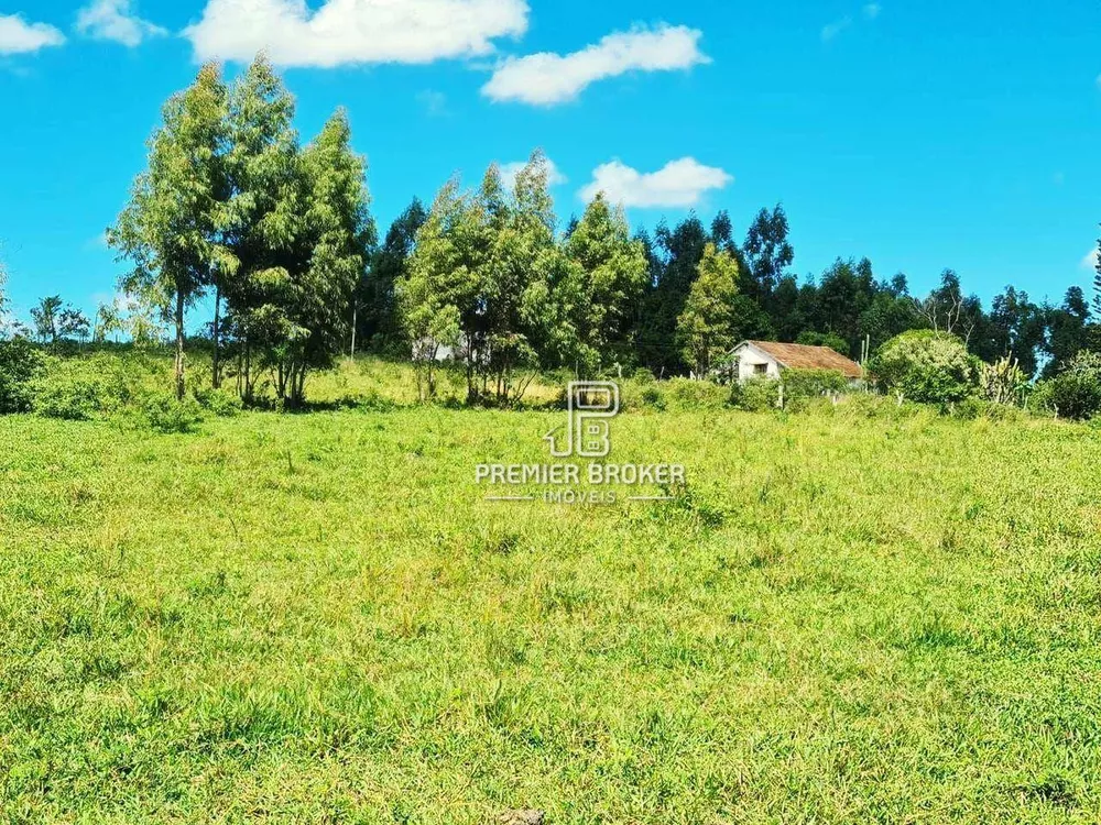 Fazenda, 254 hectares - Foto 22