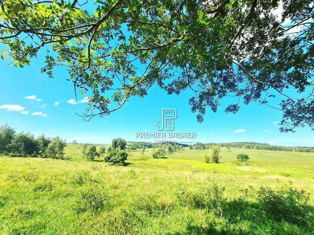 Fazenda, 254 hectares - Foto 25