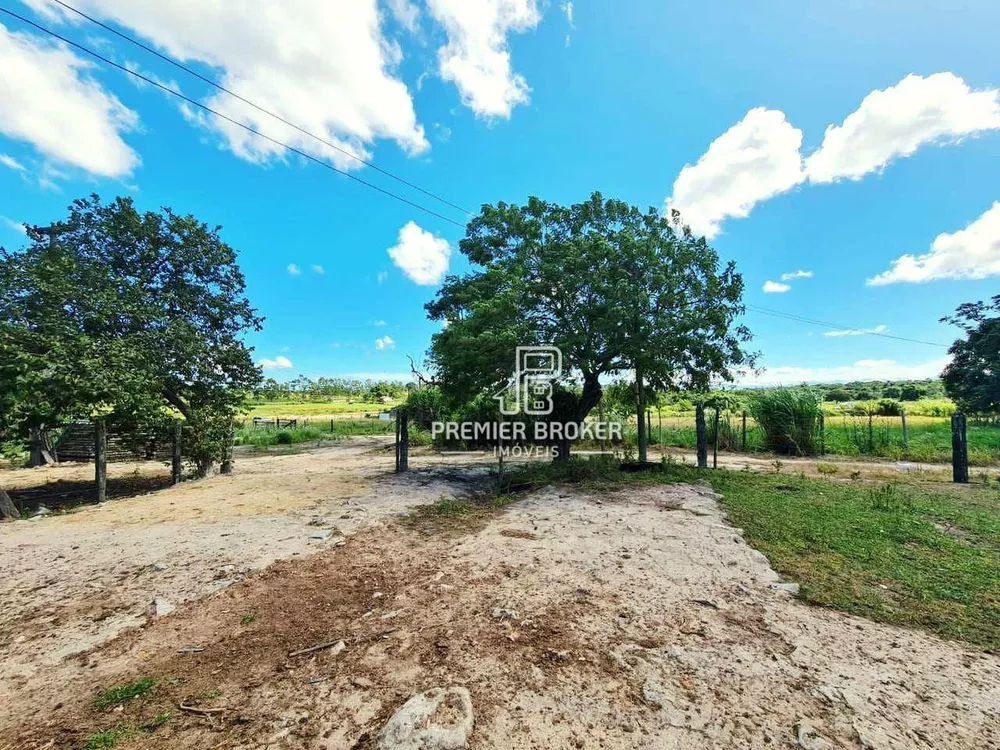 Fazenda, 254 hectares - Foto 14