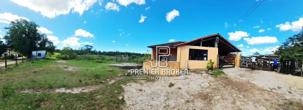 Fazenda, 254 hectares - Foto 12