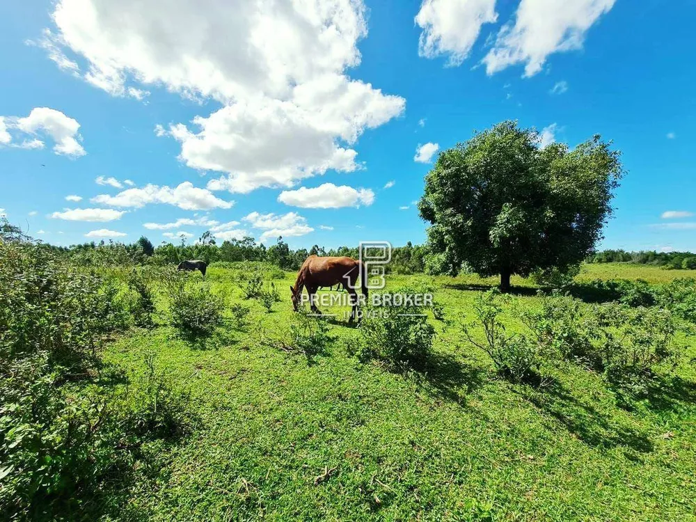Fazenda, 254 hectares - Foto 15