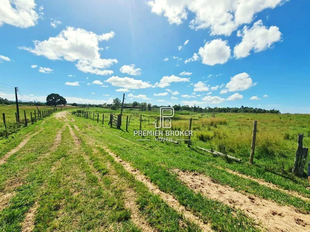 Fazenda, 254 hectares - Foto 6