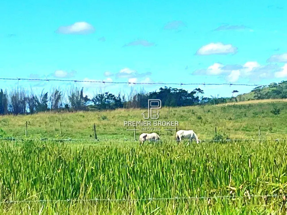 Fazenda, 254 hectares - Foto 20