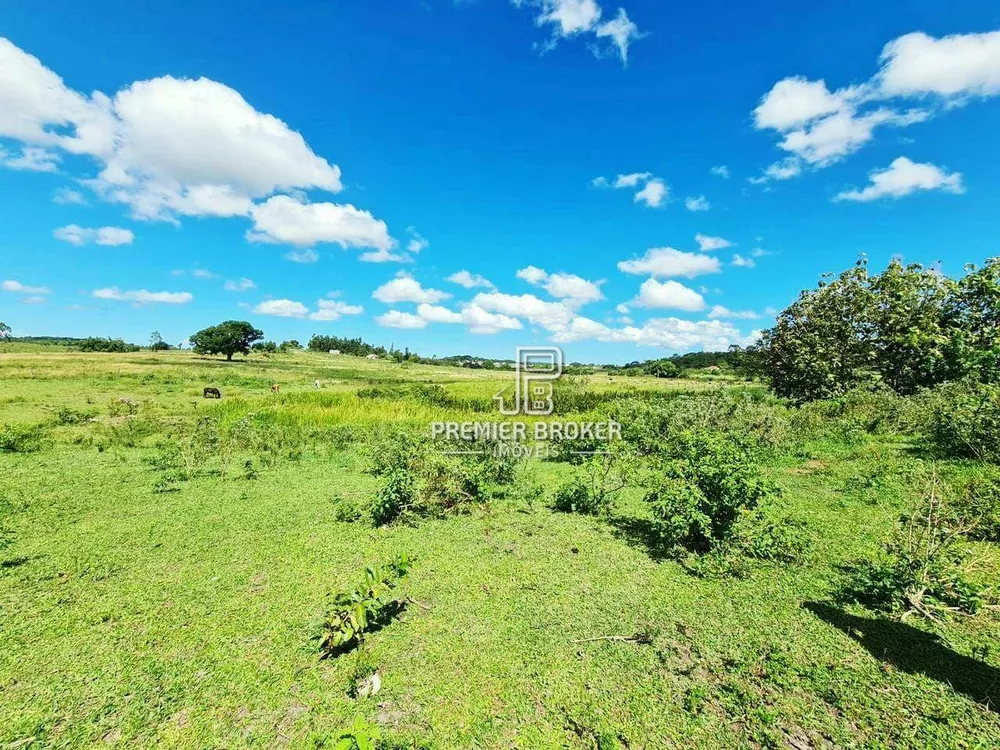 Fazenda, 254 hectares - Foto 16