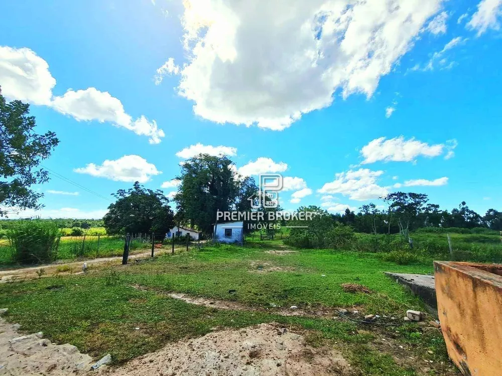 Fazenda, 254 hectares - Foto 9