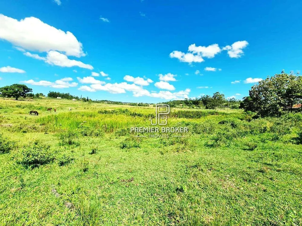 Fazenda, 254 hectares - Foto 4