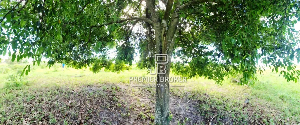 Fazenda, 254 hectares - Foto 13