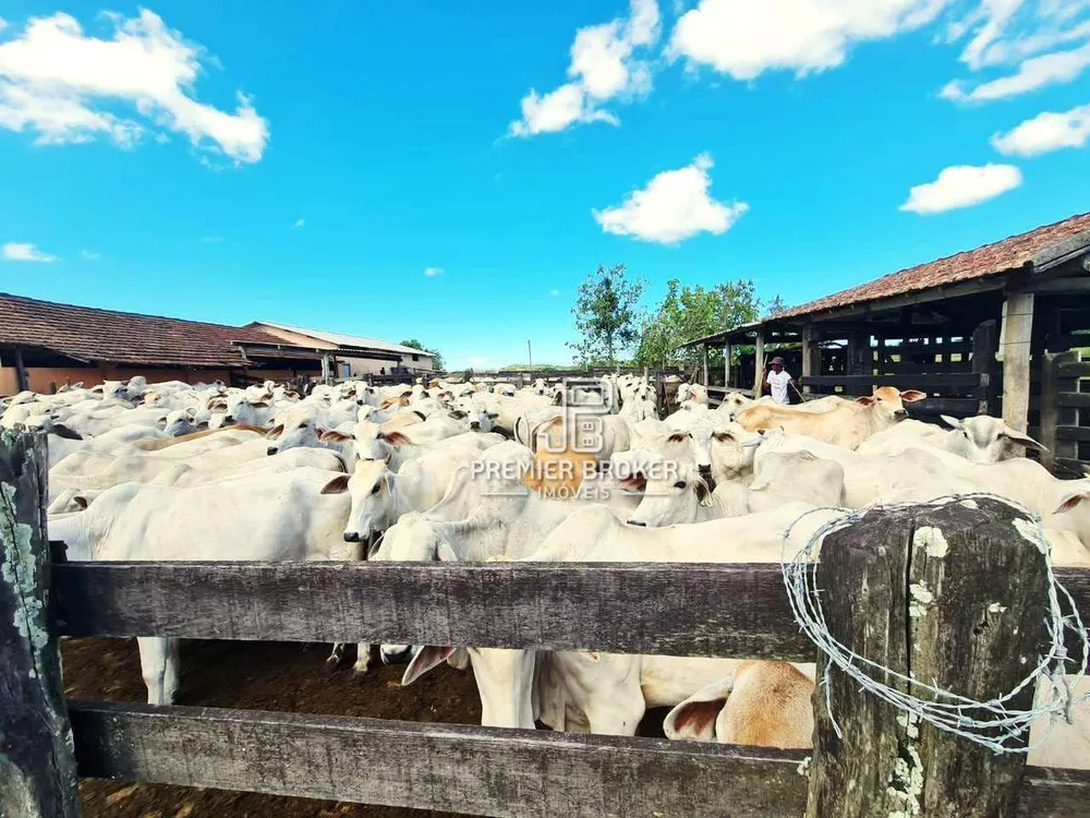 Fazenda, 254 hectares - Foto 26