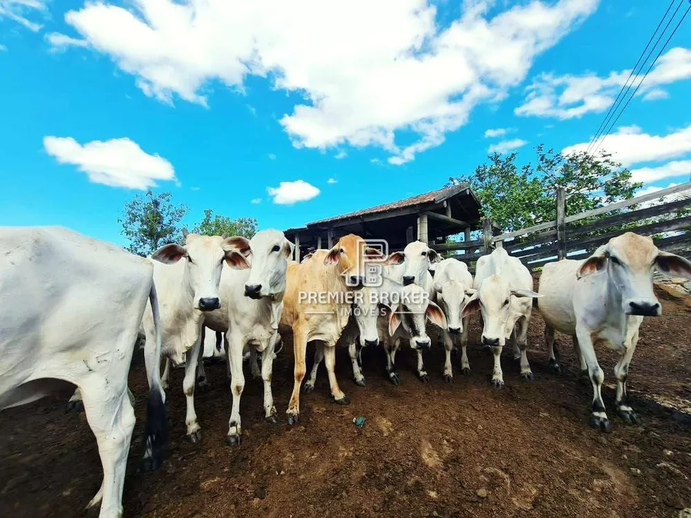 Fazenda, 254 hectares - Foto 24