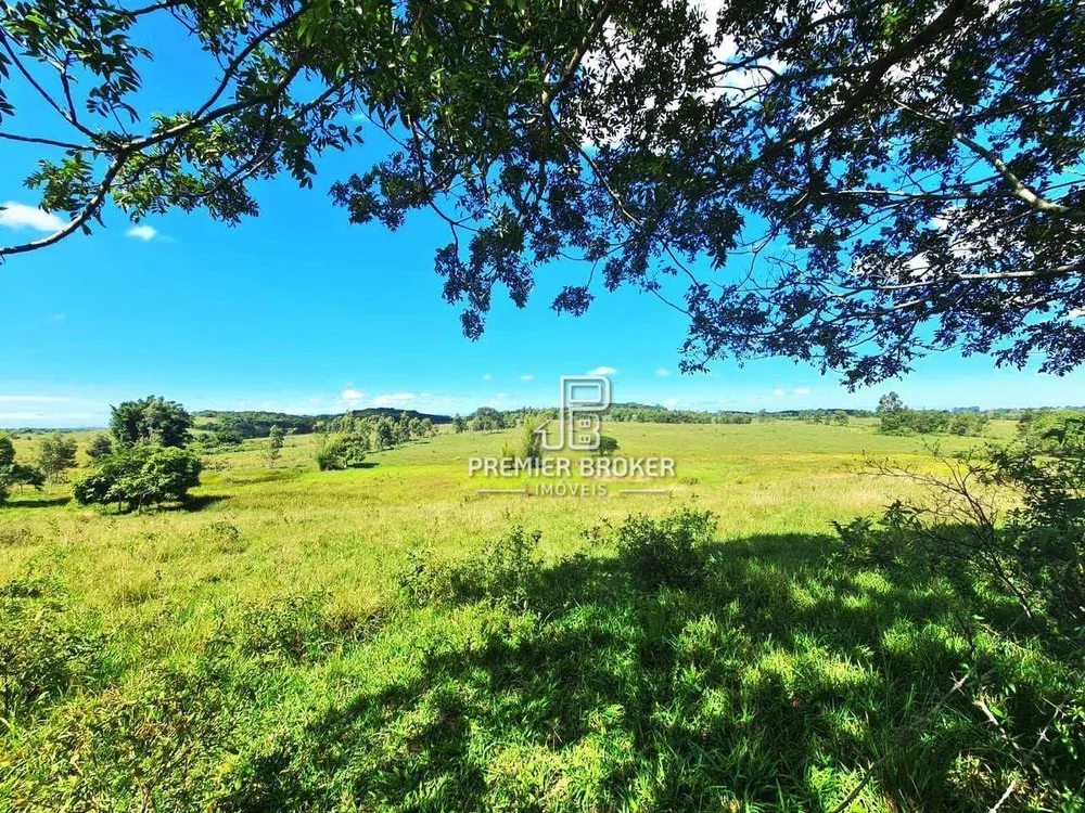 Fazenda, 254 hectares - Foto 23