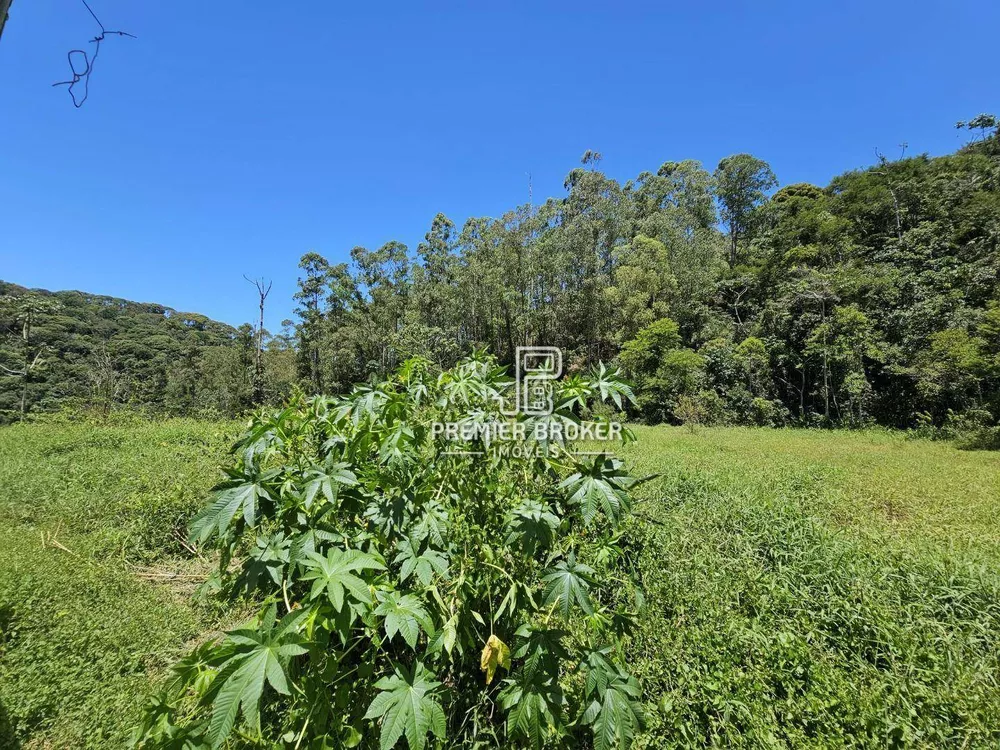 Sítio, 5 quartos, 34 hectares - Foto 16