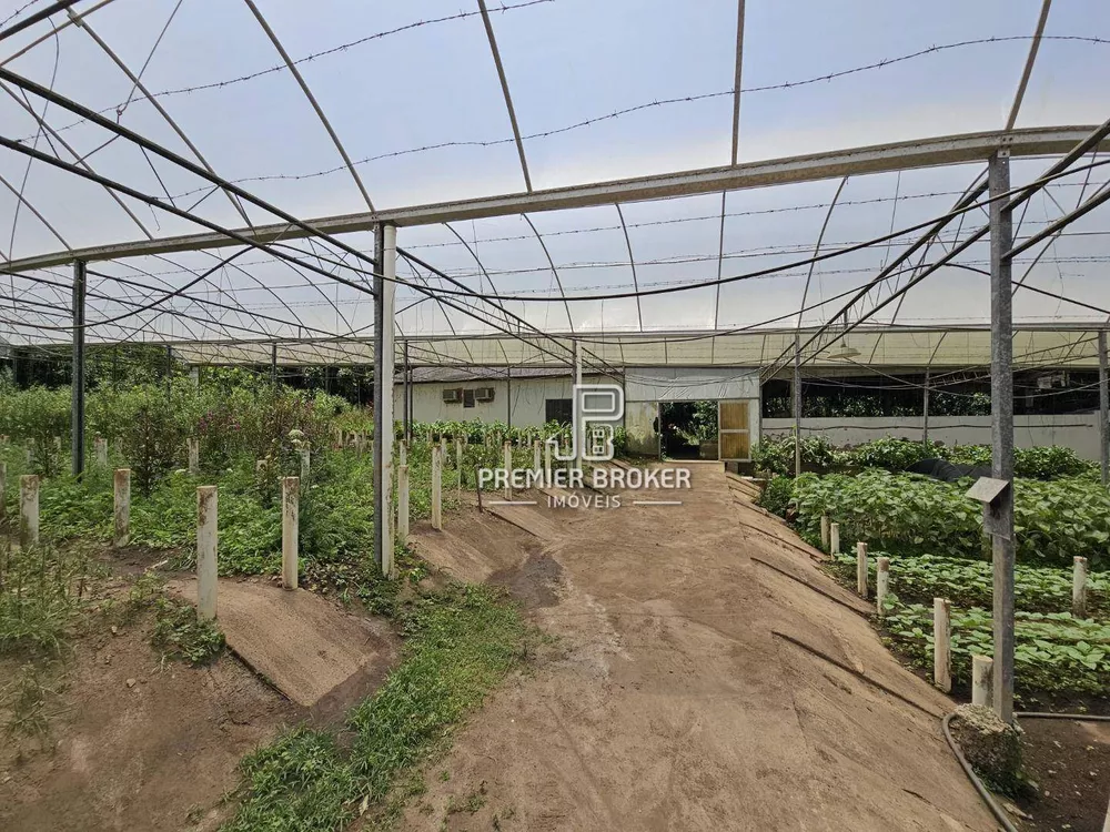 Sítio, 5 quartos, 34 hectares - Foto 4