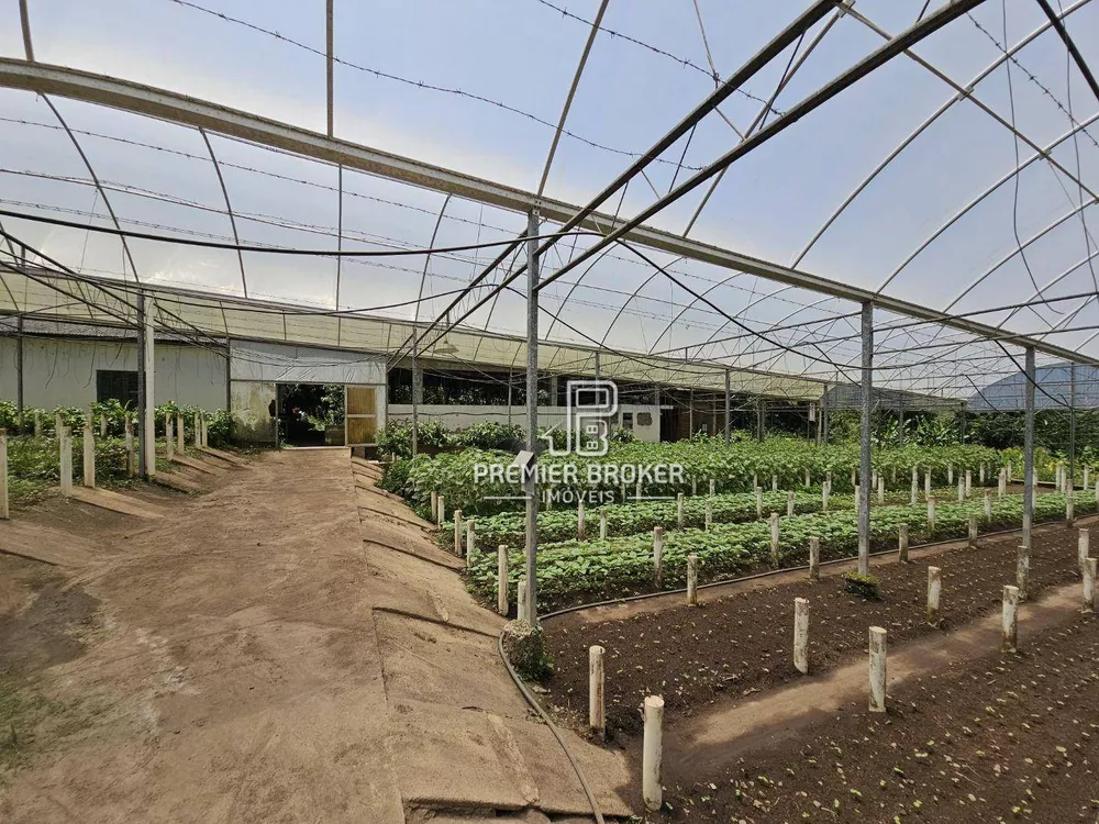 Sítio, 5 quartos, 34 hectares - Foto 9