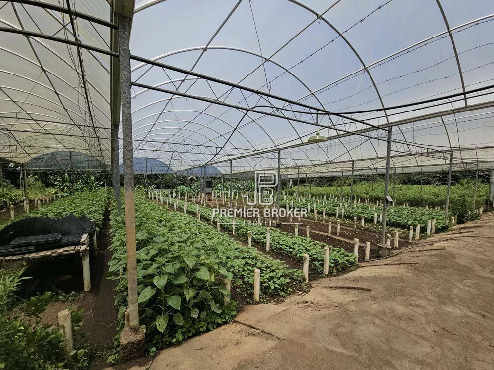 Sítio, 5 quartos, 34 hectares - Foto 6