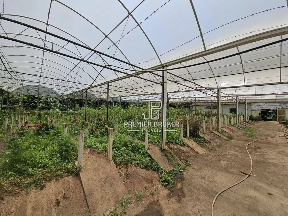 Sítio, 5 quartos, 34 hectares - Foto 3