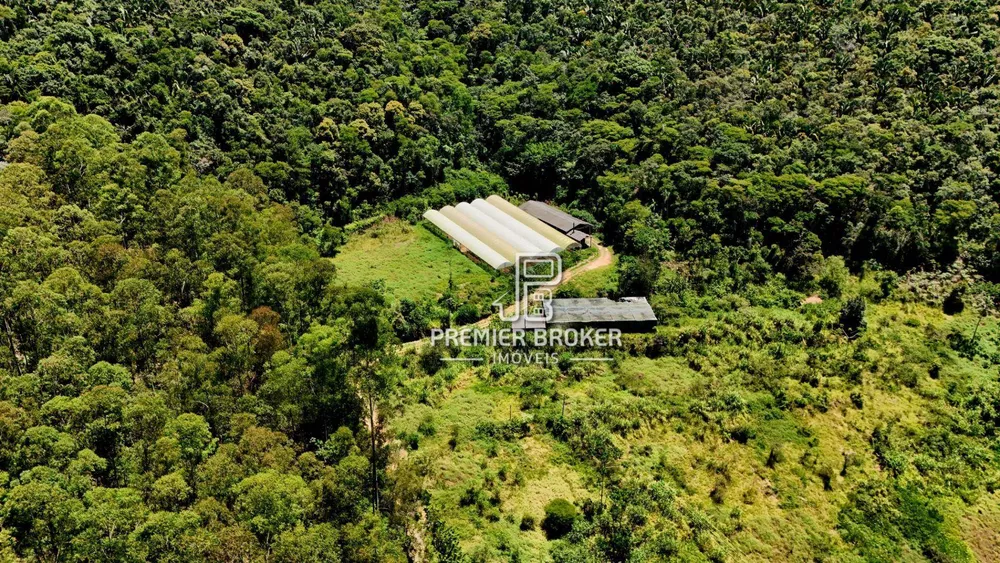 Sítio, 5 quartos, 34 hectares - Foto 1