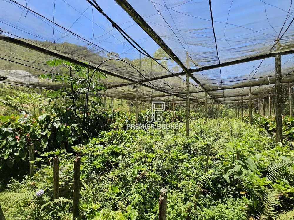 Sítio, 5 quartos, 34 hectares - Foto 12