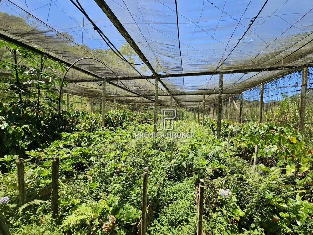 Sítio, 5 quartos, 34 hectares - Foto 11