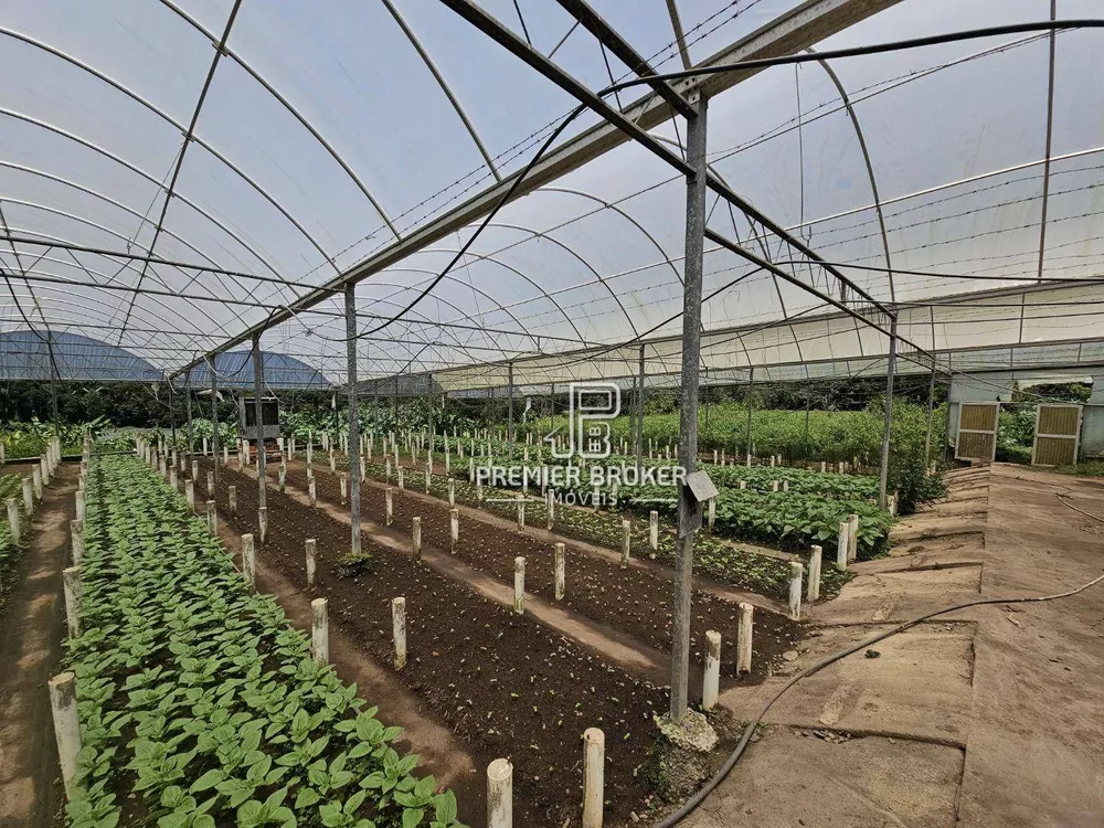 Sítio, 5 quartos, 34 hectares - Foto 8